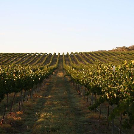 Mayfield Vineyard Orange Εξωτερικό φωτογραφία