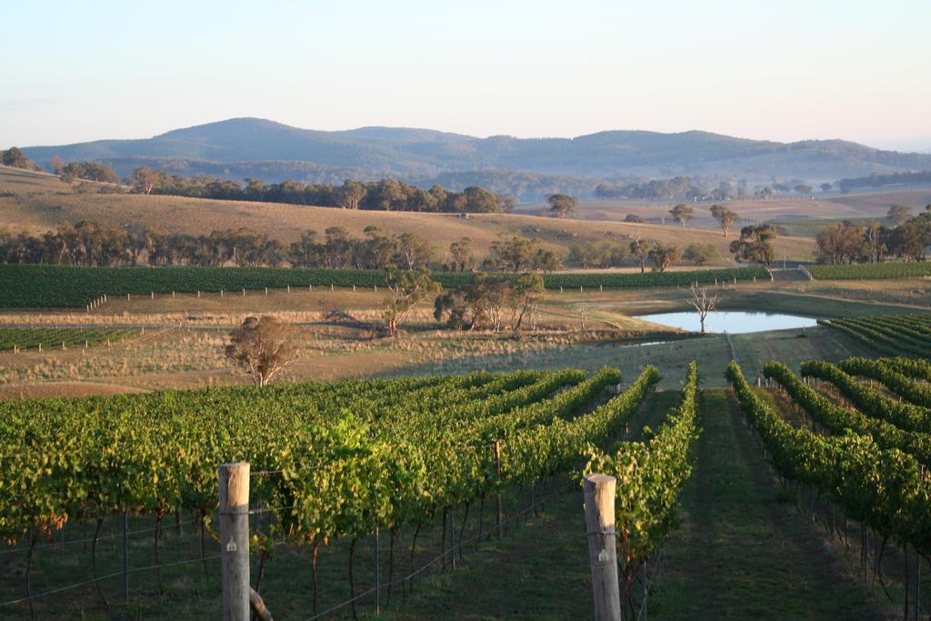 Mayfield Vineyard Orange Εξωτερικό φωτογραφία