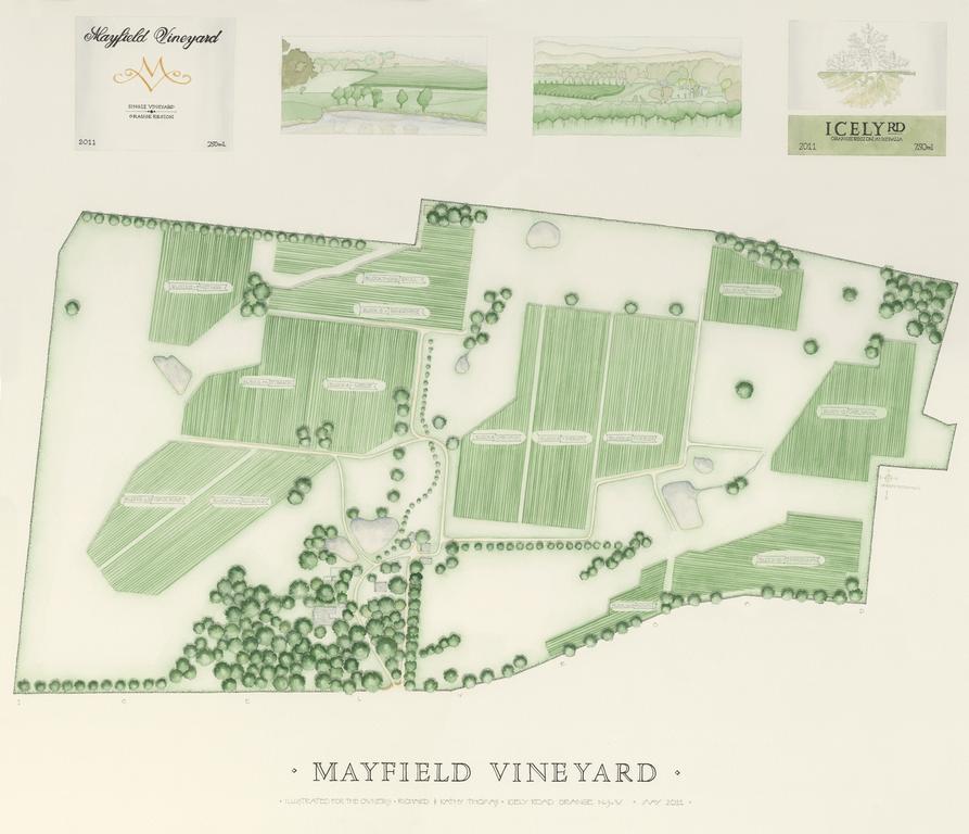 Mayfield Vineyard Orange Εξωτερικό φωτογραφία