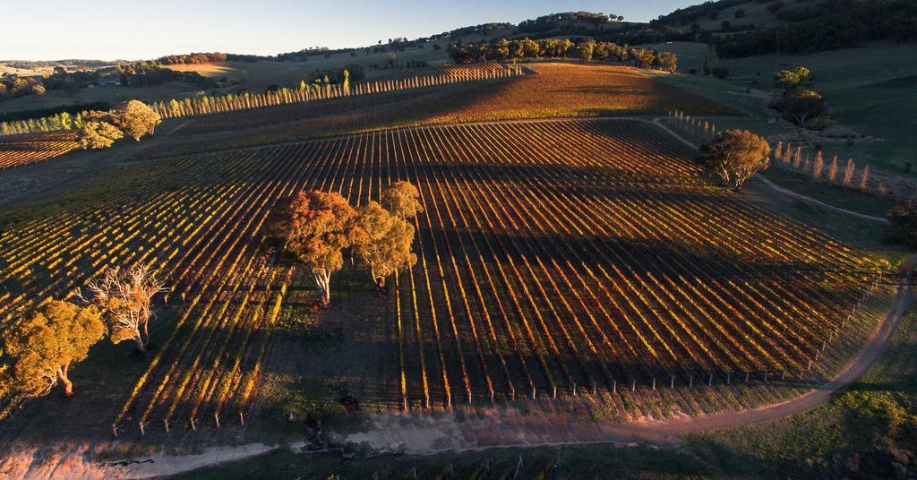 Mayfield Vineyard Orange Εξωτερικό φωτογραφία
